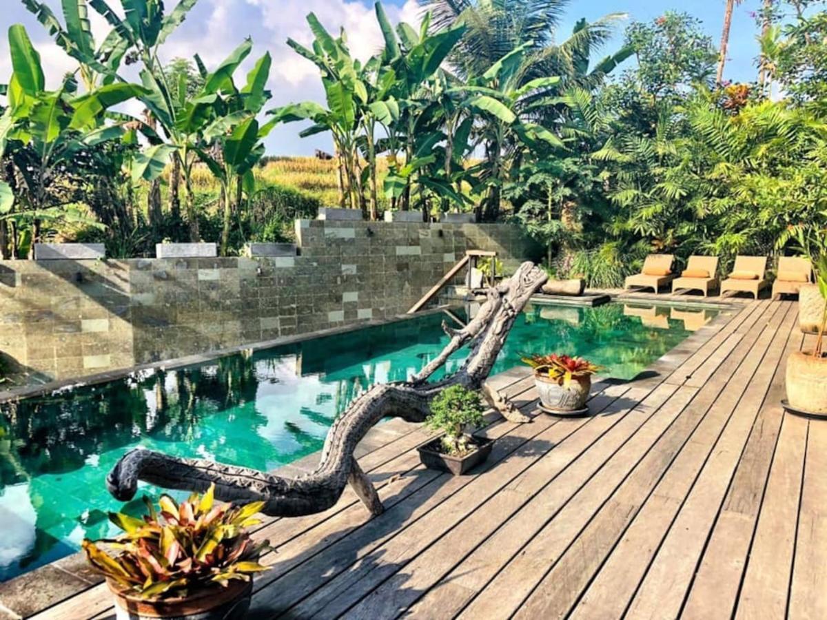 Dragon House - Your Dream House In Bali! Ubud Exteriér fotografie