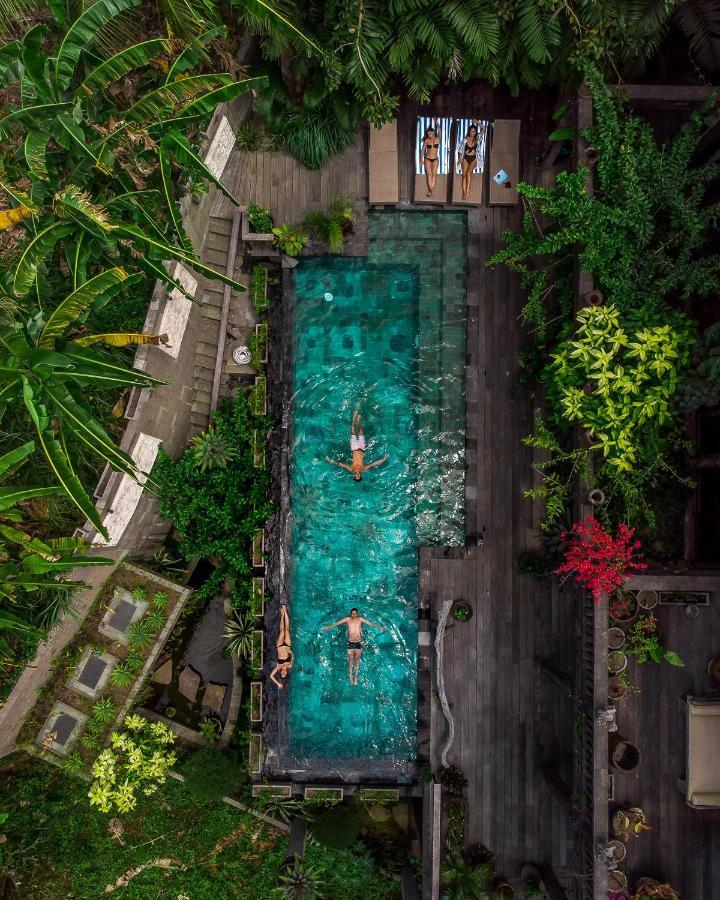 Dragon House - Your Dream House In Bali! Ubud Exteriér fotografie